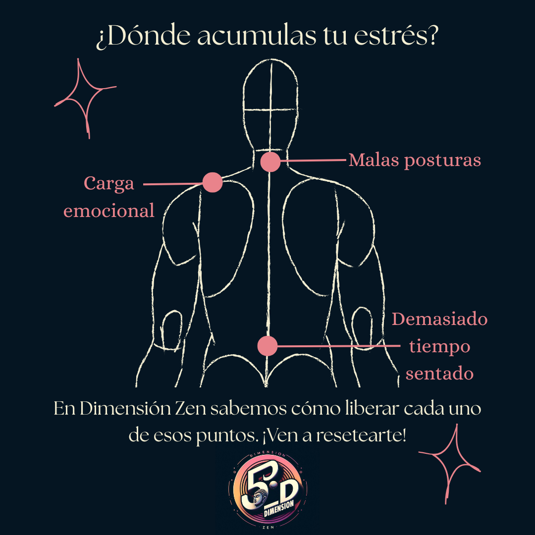 Infografía sobre dónde se acumula el estrés en el cuerpo (cuello, hombros y lumbares) en Elche, del centro Dimensión Zen.